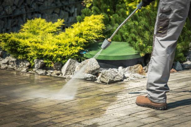 Best Driveway Cleaning and Restoration in Rice Lake, MN