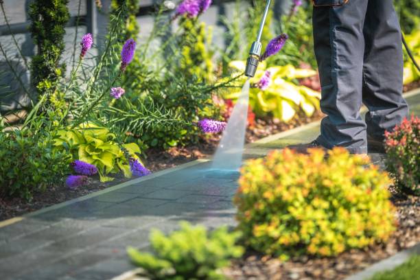 Best Fence Cleaning and Maintenance in Rice Lake, MN