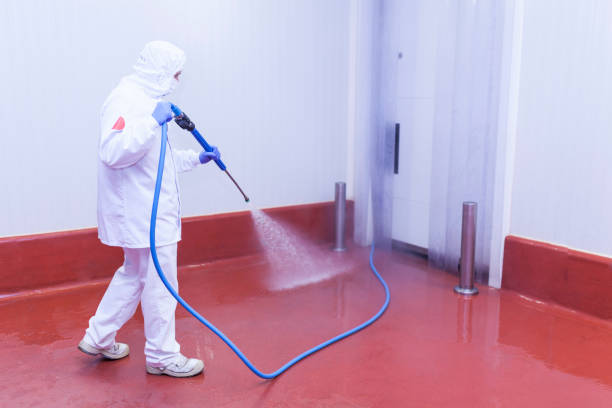 Best Residential Pressure Washing in Rice Lake, MN